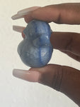 Blue Aventurine duck