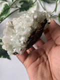 Green Apophyllite specimen